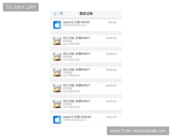 如何通过乐鱼客服快速处理游戏充值异常和账户安全问题的实用技巧